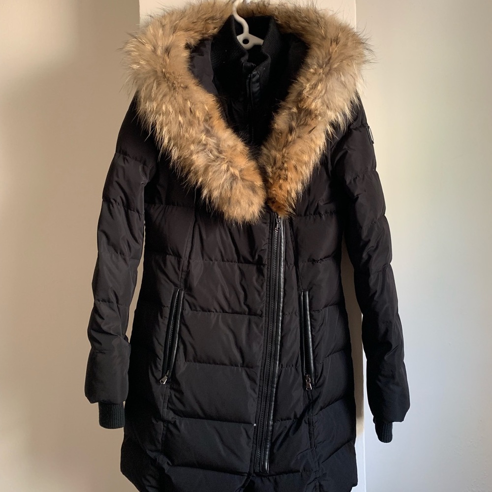 Winter jacket - Picture 2 of 5